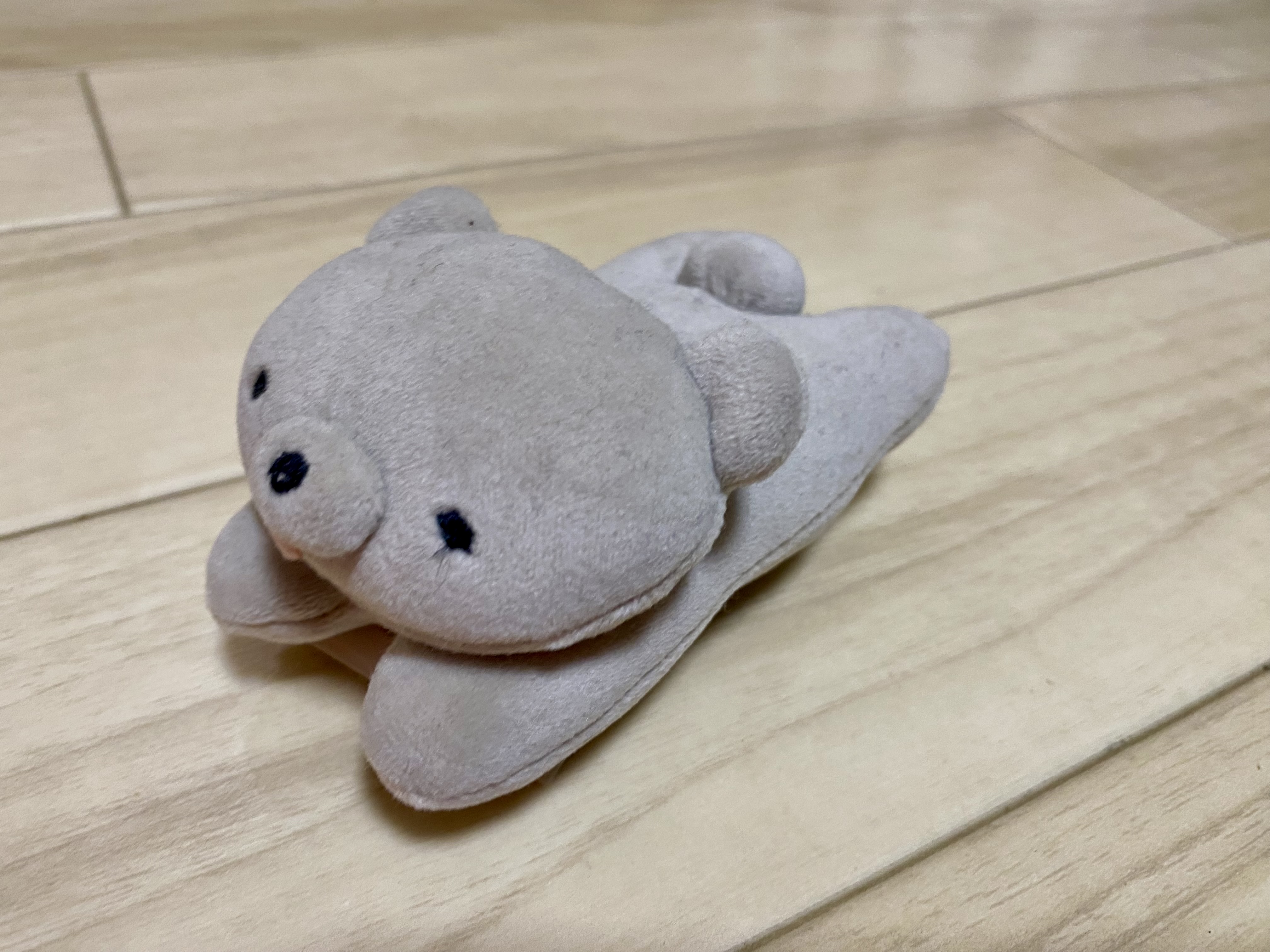 クマの癒しパートナー