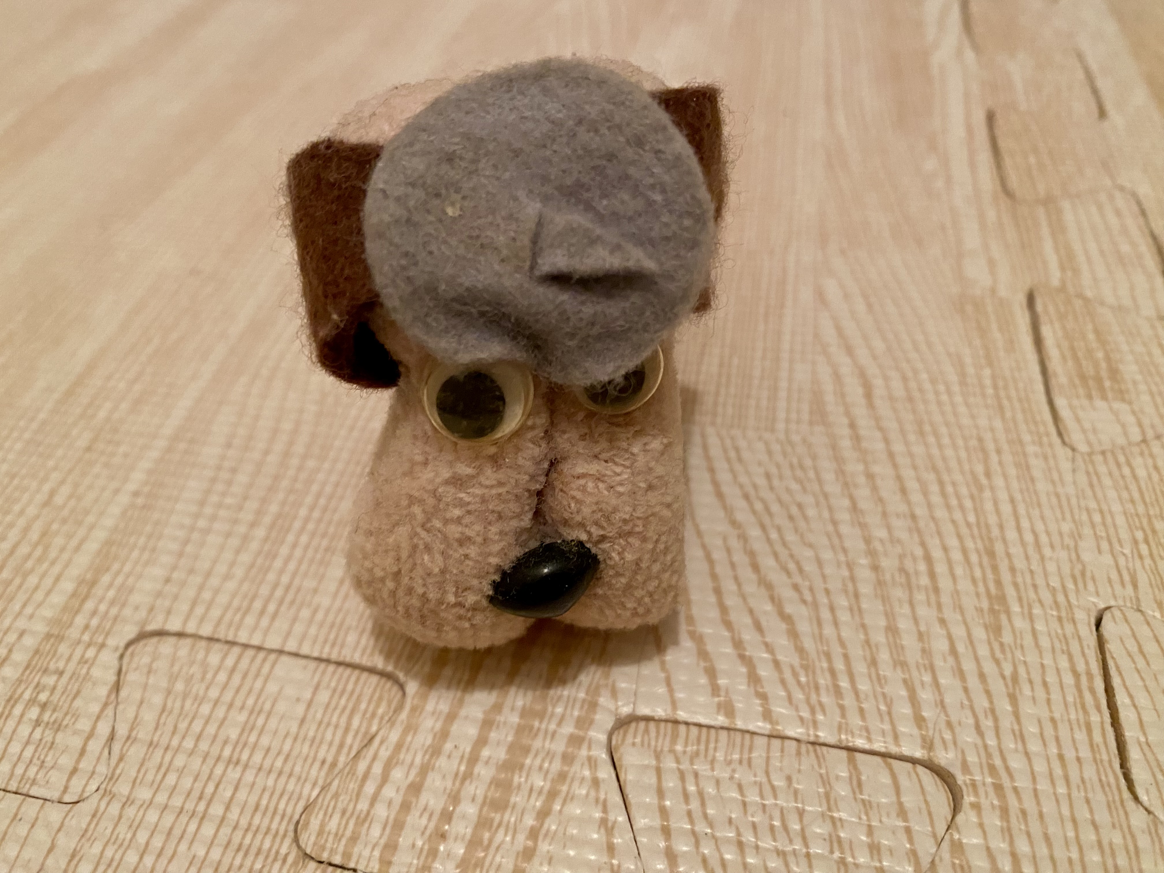 質問を待つ小さな犬