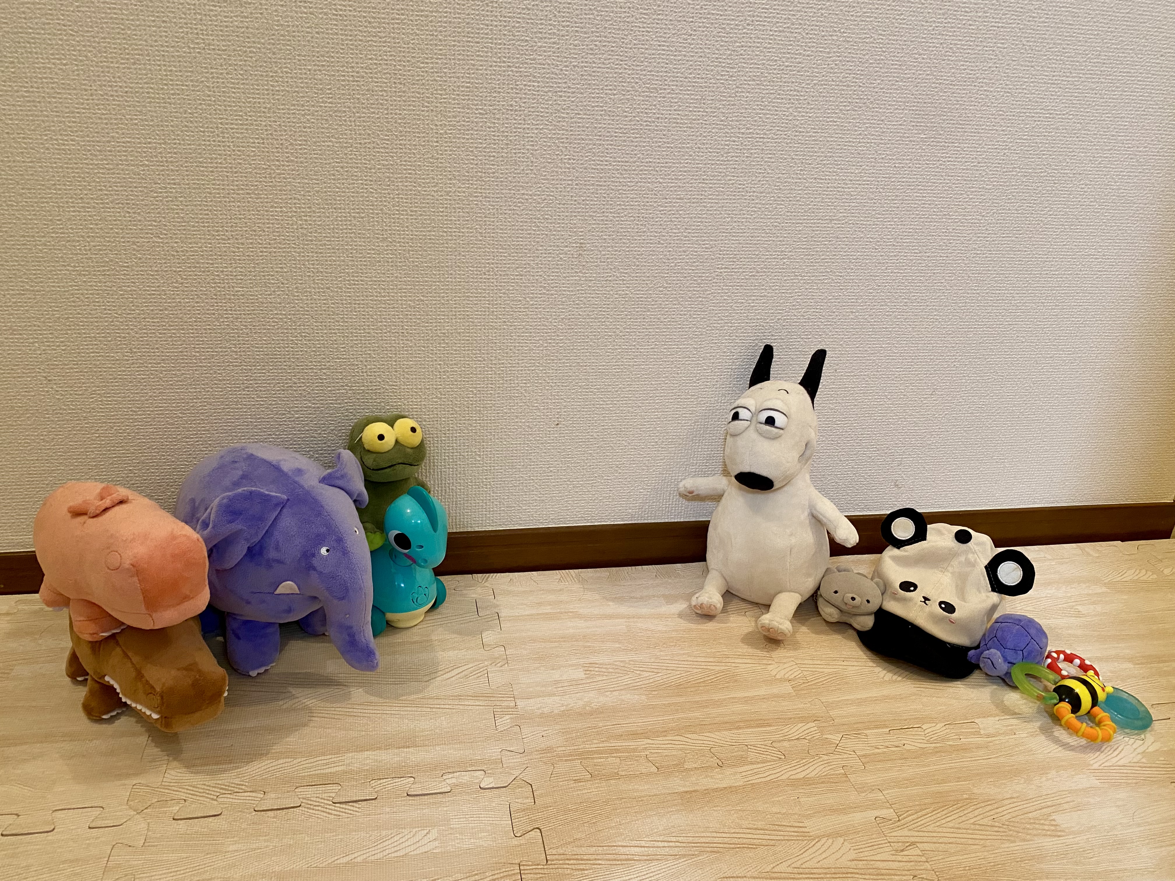 さまざまな癒しパートナーたち