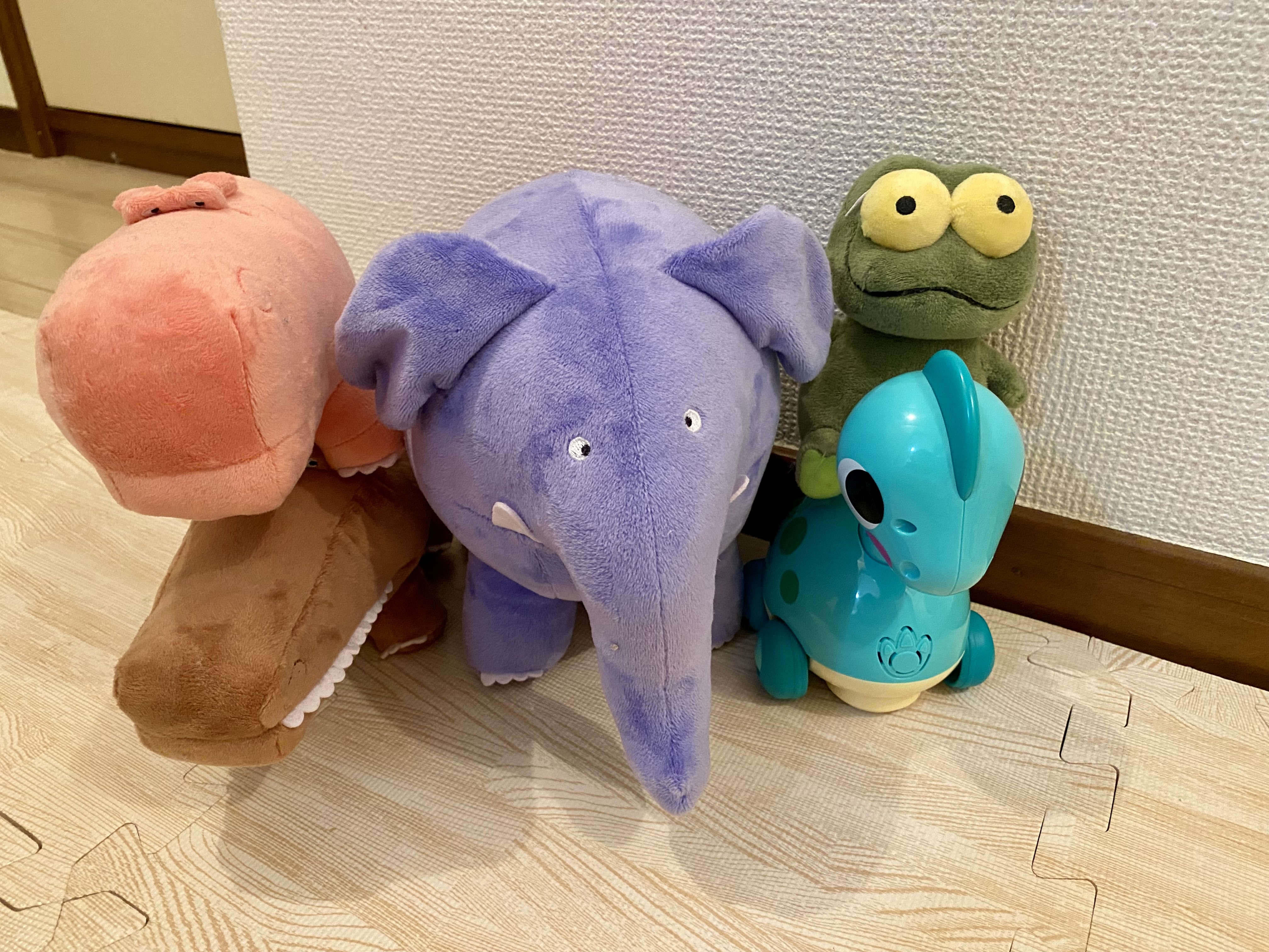 おすすめの癒しパートナーたち